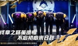 爆料狼队假赛视频,独家视频揭露惊人内幕